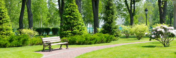 wooden park bench by walking path