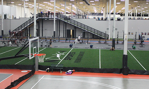 FitFest website image-1
