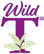 Wild_Ohio_Logo