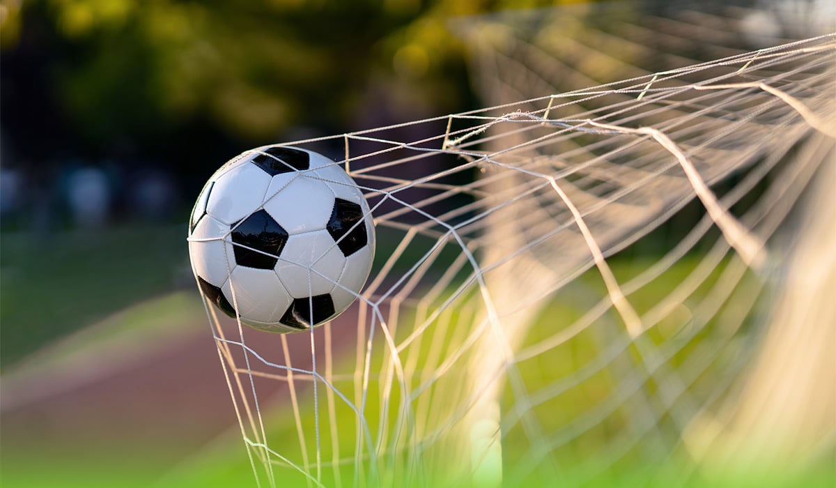 soccer ball in net