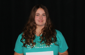 Adddilee Heisey 15 Silver