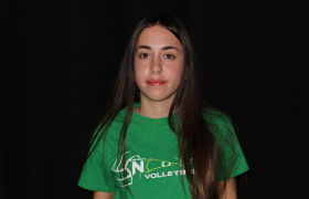 Audrina Roberts - 15 Silver
