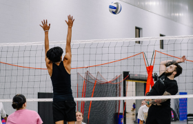 Adult Sports Leagues