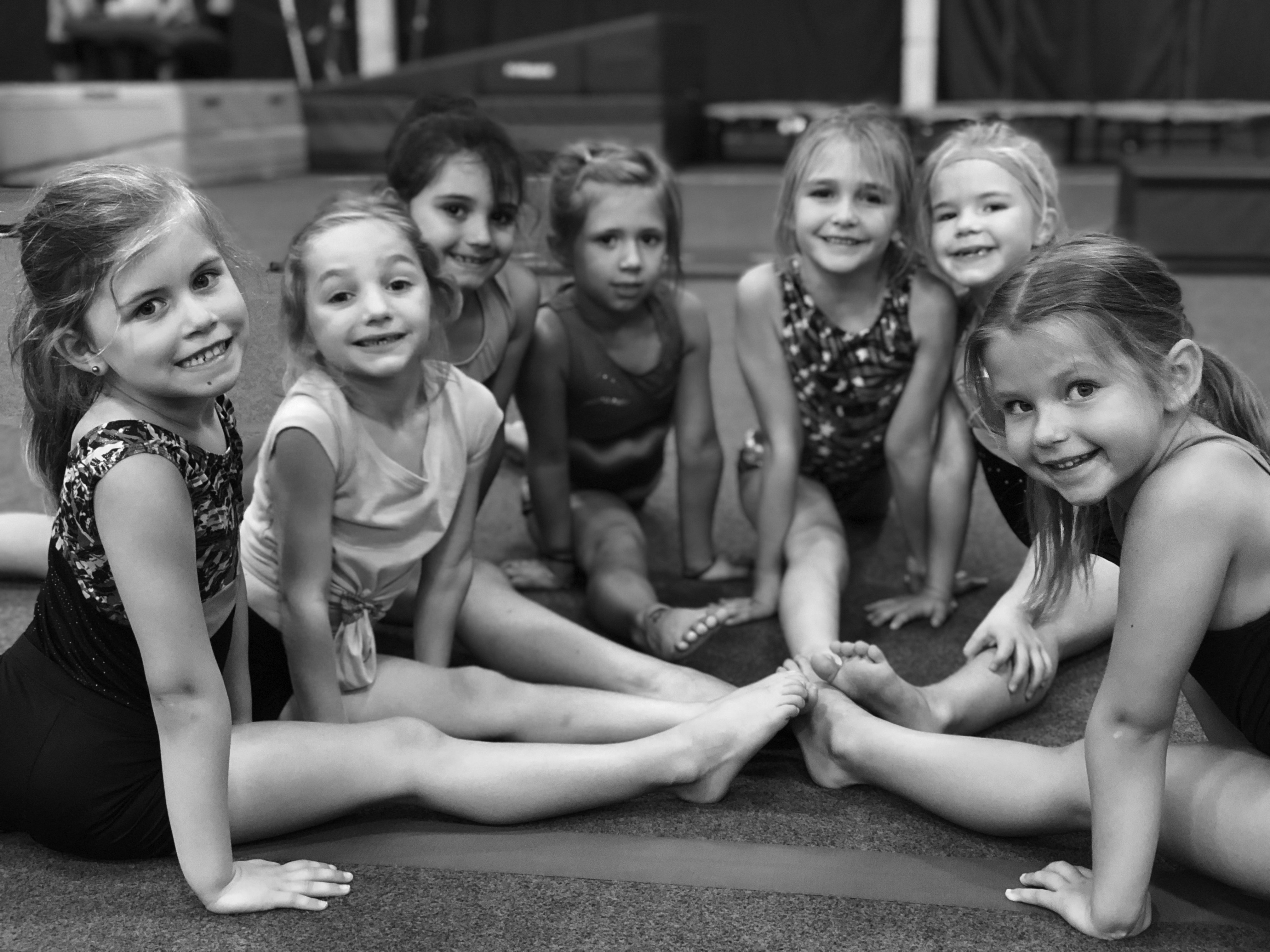 Gymnastics winter 18-2