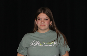 Rosalie Messett 15 Silver