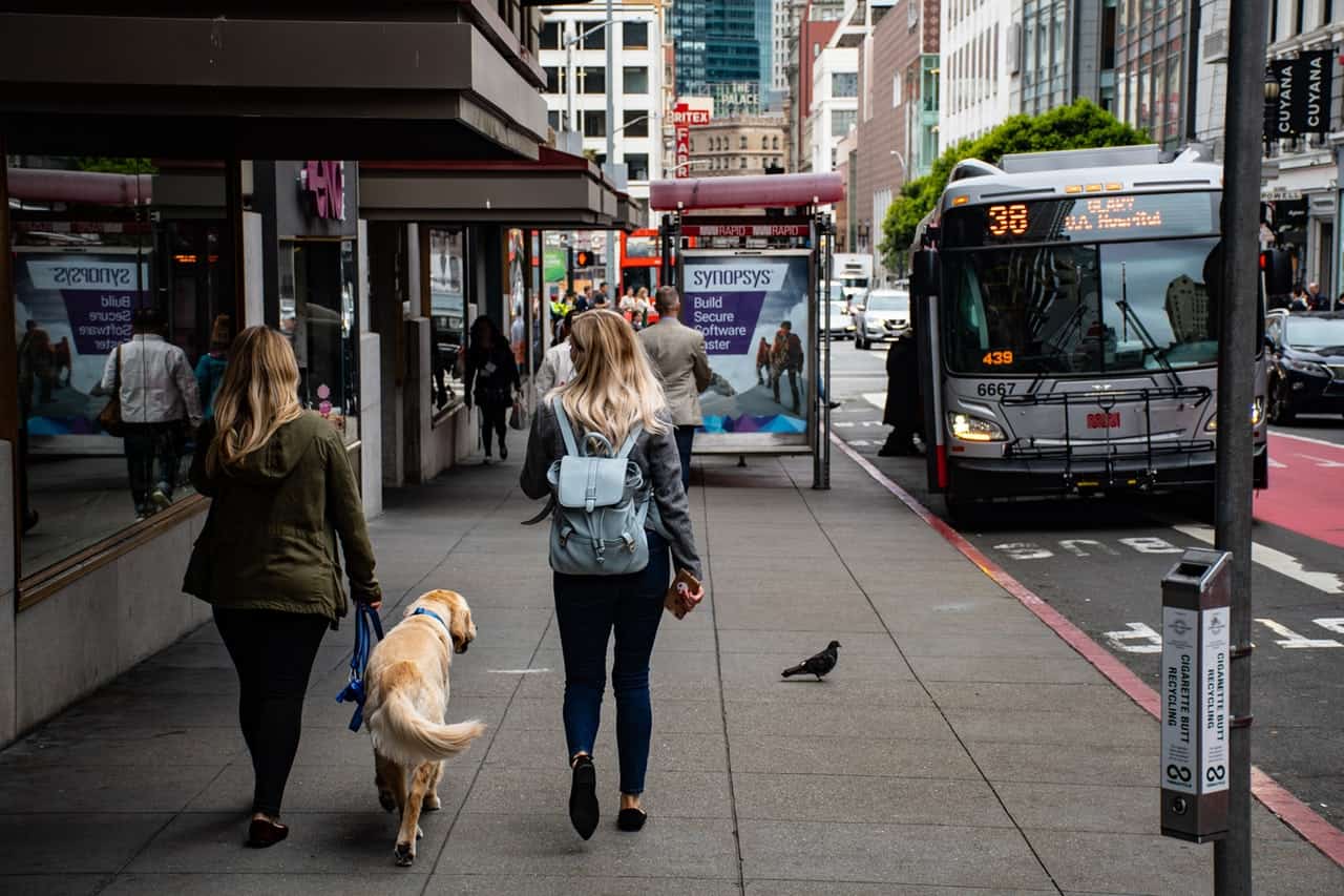 bus-busy-street