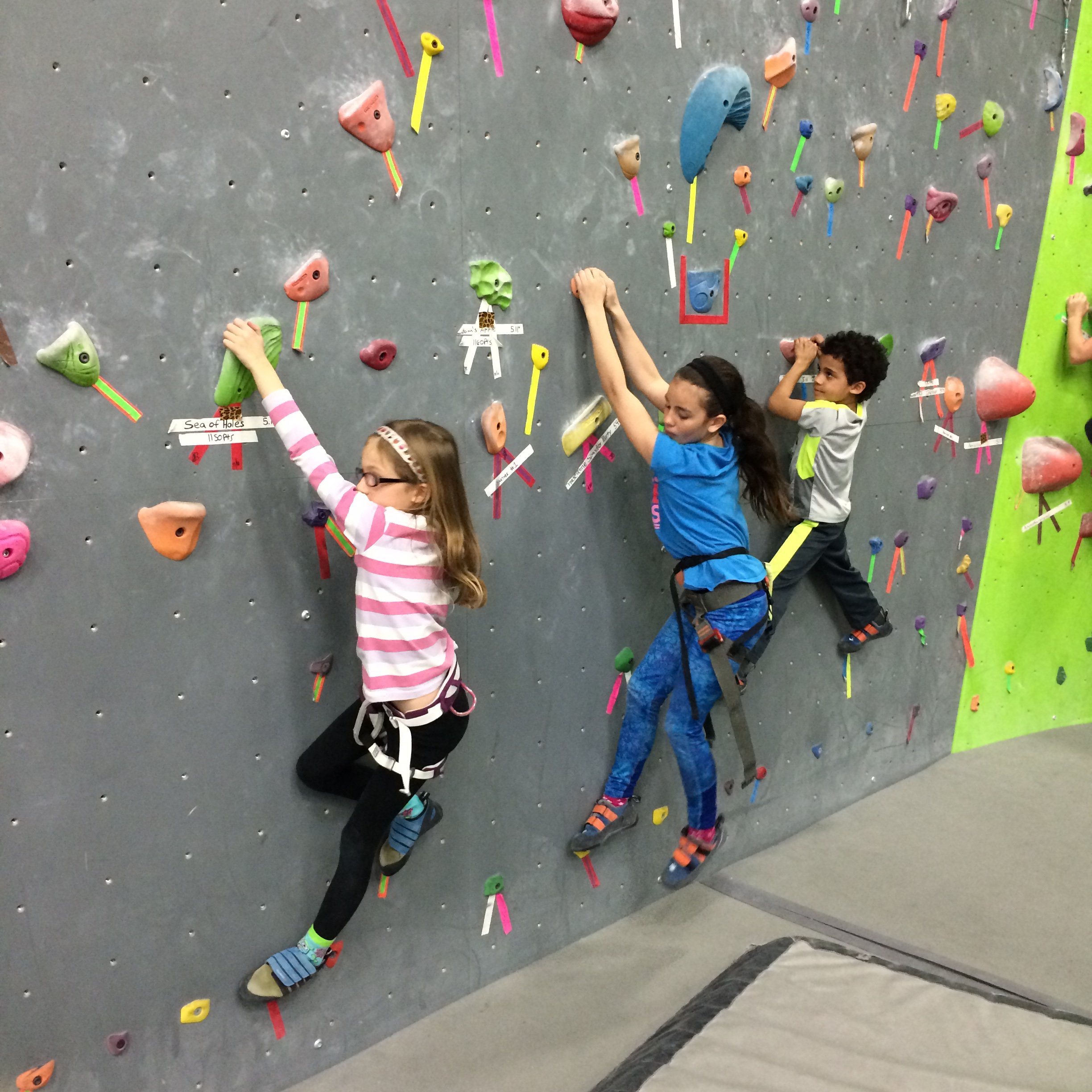 kids climbing