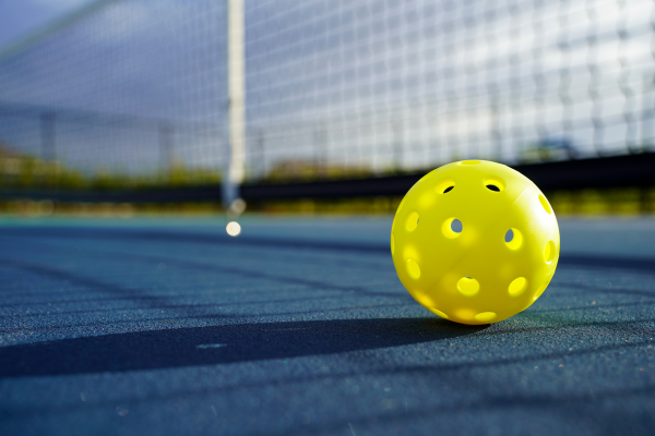 pickleball (600 x 400 px)