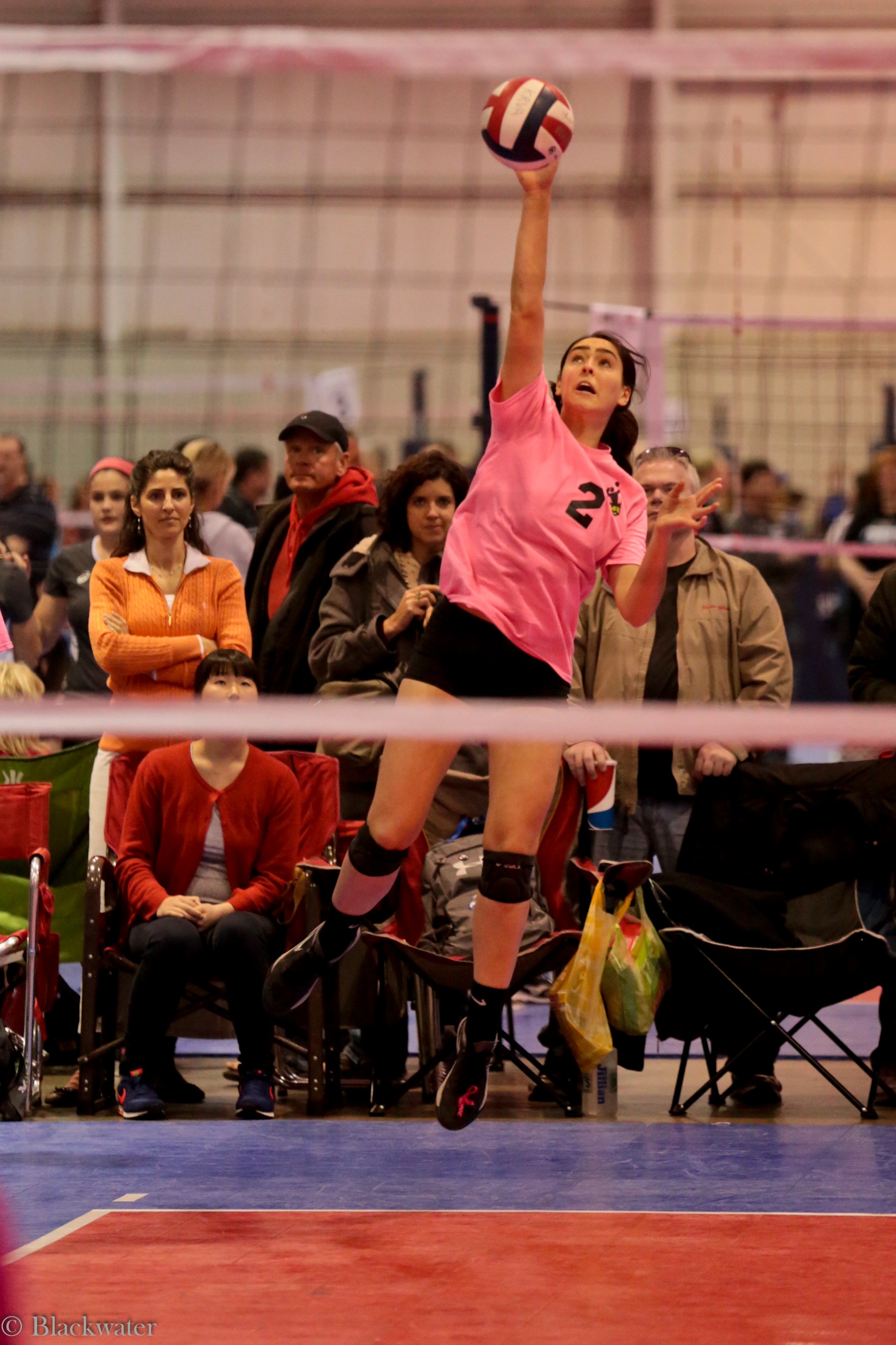 Spooky Nook Sports Volleyball Photos and Videos
